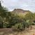 Ruth Ann Furseth's profile image