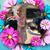 Michele Dersch Westfall's profile image