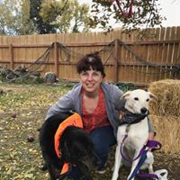 Karen Harvey's profile image