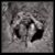 Neil Viertel's profile image