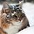 Victoria Deba's profile image