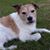 Cathy Nelson Madden's profile image