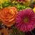 Emily Burkhead's profile image