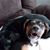 Lori Bacho Rose Cowhard's profile image
