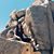 Rocio Garcia's profile image