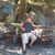 Fidel Tiburcio's profile image