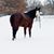 Lacey Huben's profile image