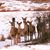 Jessie Wyatt Lamson's profile image