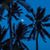 Pam Johnson Howell's profile image