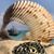 Dana L Kroger- Cramer's profile image