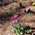 Kelly Todd-Kilburn's profile image