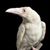 Melanie Jane Reasor's profile image