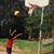 Luis Laboy's profile image