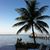 Rene Tryan-Bigford's profile image