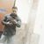 Քոեռտըւի Զղցվբնմ's profile image