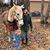Kathy Suchan Hughes's profile image
