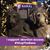 Carol Gendler's profile image