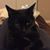 Stephanie Snow Familar's profile image