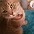 Pat McKenzie's profile image