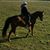 Stacey Machado Reeves's profile image