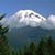 Washington Orthotics and Prosthetics's profile image