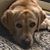 Stephenie Harrington's profile image