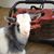 Rebecca Tolar McCollum's profile image