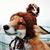 Gina Bo Beana's profile image