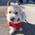 Ellen Brooks Mosier's profile image