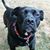 Diane Fuentes Fernandes's profile image