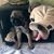 ElizaBeth Rose Sage-Patterson's profile image