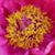 Gale Conn-Wright's profile image
