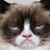 Cheri Hainline Hemby's profile image