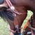 Shelley Peterson-Knepp's profile image