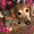Vicki Martin's profile image