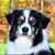 Shawn Stender-Magrum's profile image