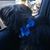 Carmen Dozier's profile image