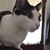 Laura Foust's profile image