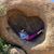 Meghan Fusillo's profile image