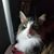 Debbie Price Putnam's profile image