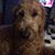 Kathy Lawrence's profile image