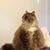Inez Don Carlos's profile image