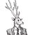 rastaquere's profile image