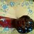 Lucy Tellis's profile image