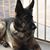 Gina Green - Sanchez's profile image