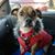 Shawna Braddock's profile image