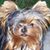 Terri Gulley's profile image
