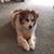 Carol Slone's profile image