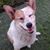 Brian Weatherman's profile image