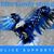 Laura Lambeth Jones's profile image